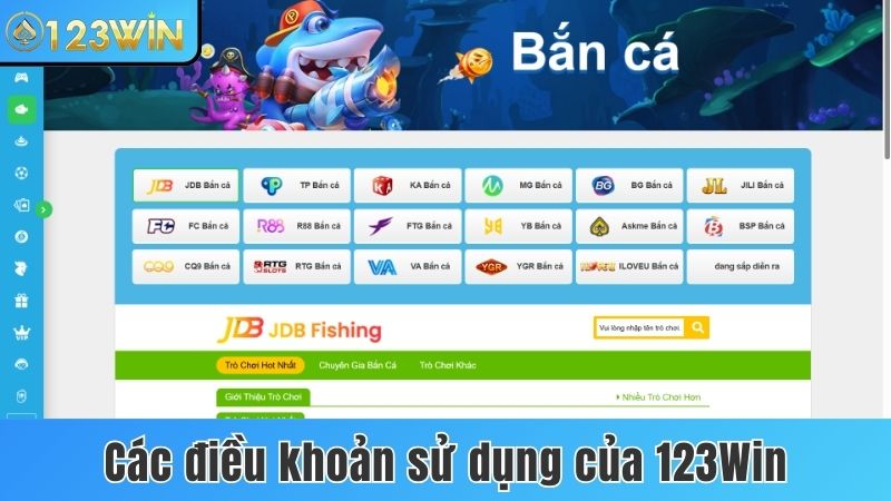 Các điều khoản sử dụng của 123win